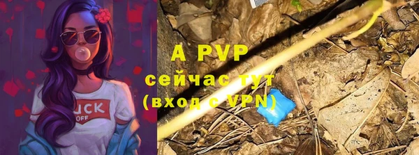 a pvp Алзамай
