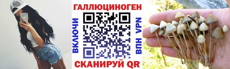 сайты даркнета формула Красноуральск Псилоцибиновые грибы прущие грибы